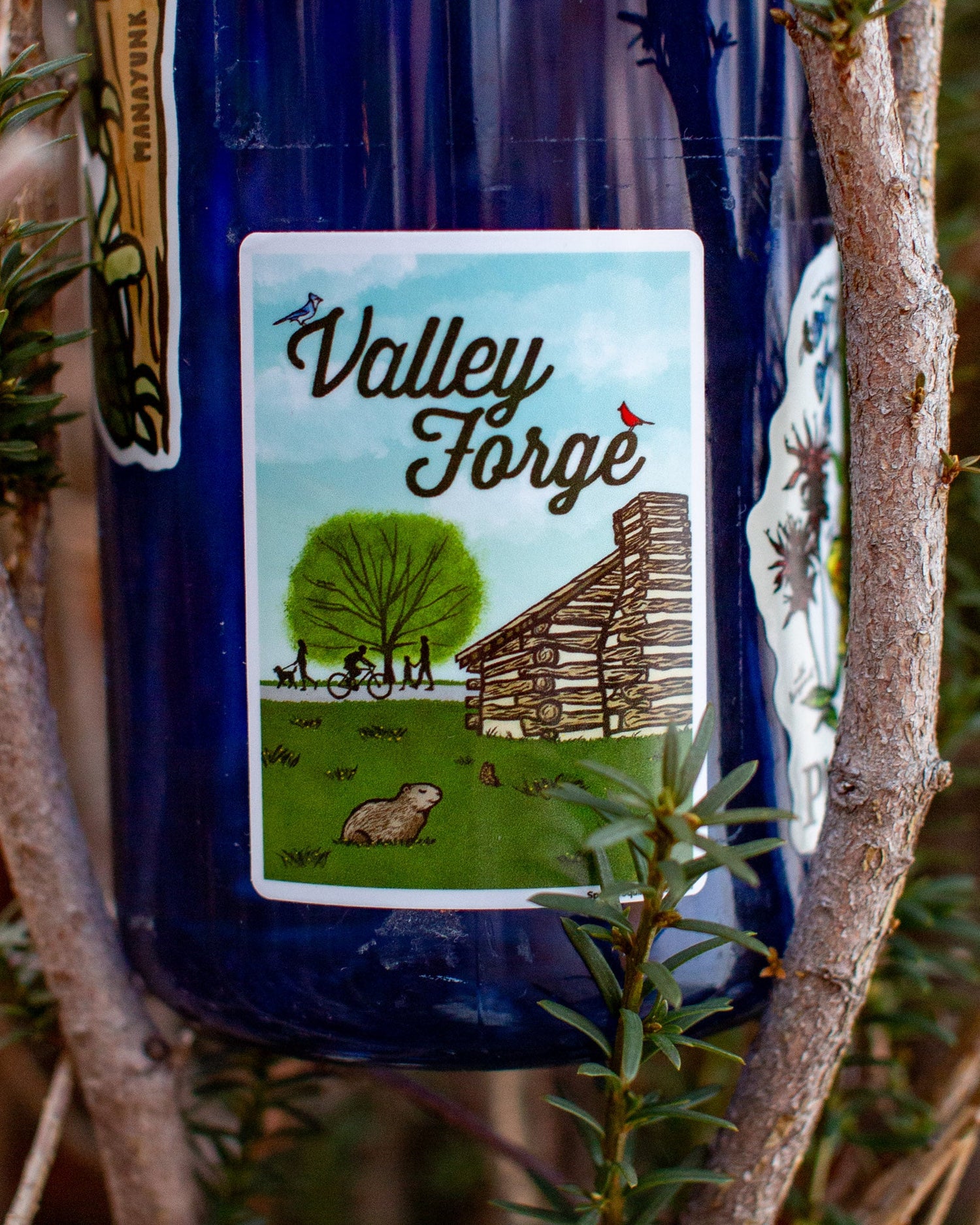 Valley Forge Collection