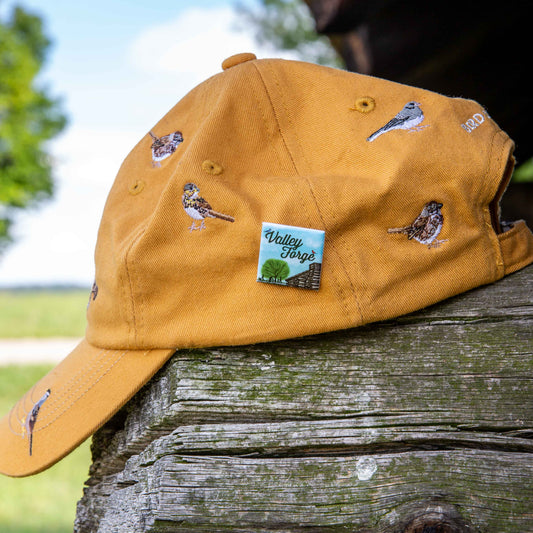 Yellow cap with bird designs and a Valley Forge pin on a wooden post outdoors.