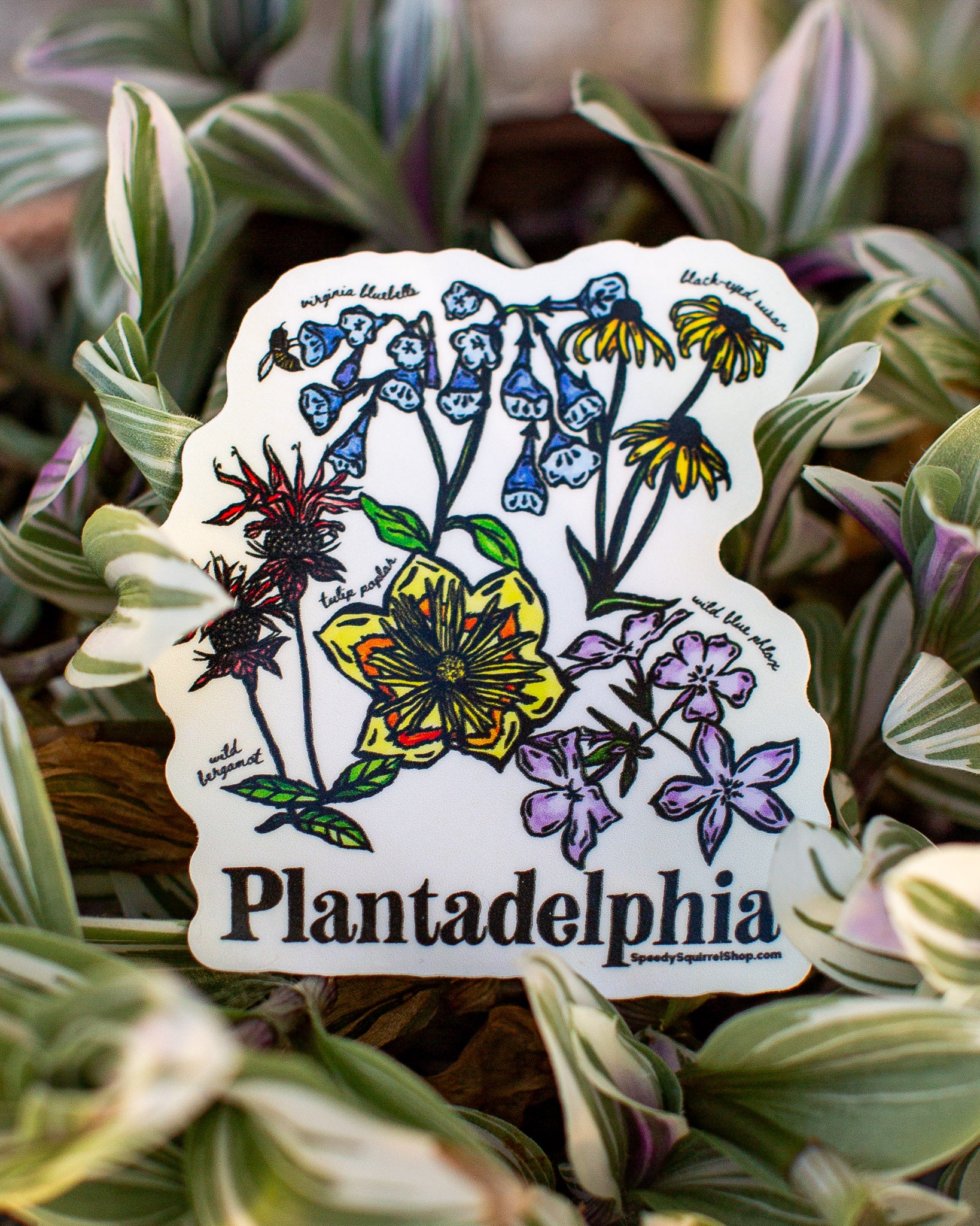Sticker with floral design and 'Plantadelphia' text on a plant background
