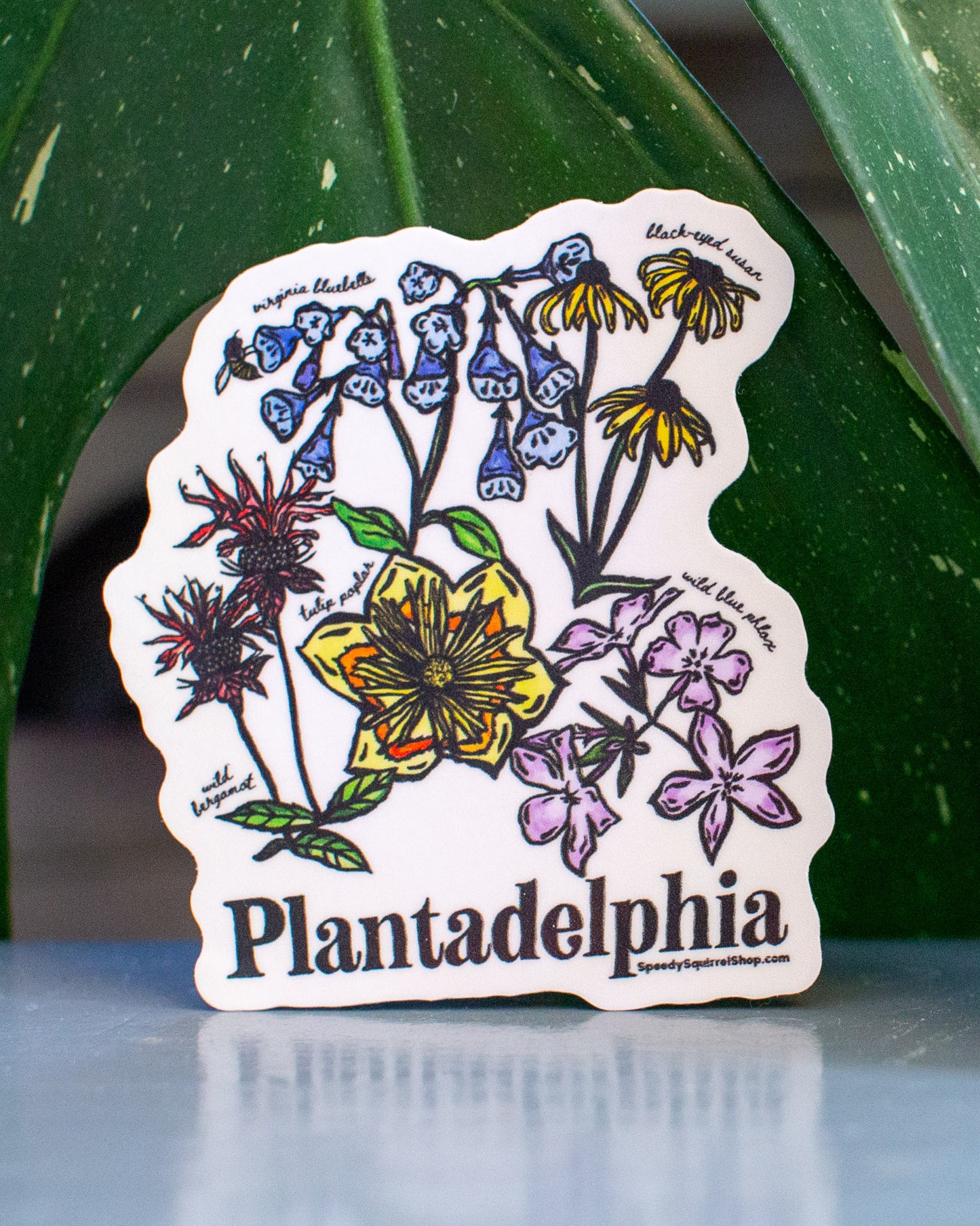 Sticker with colorful floral design and 'Plantadelphia' text on a reflective surface with green leaves in the background.