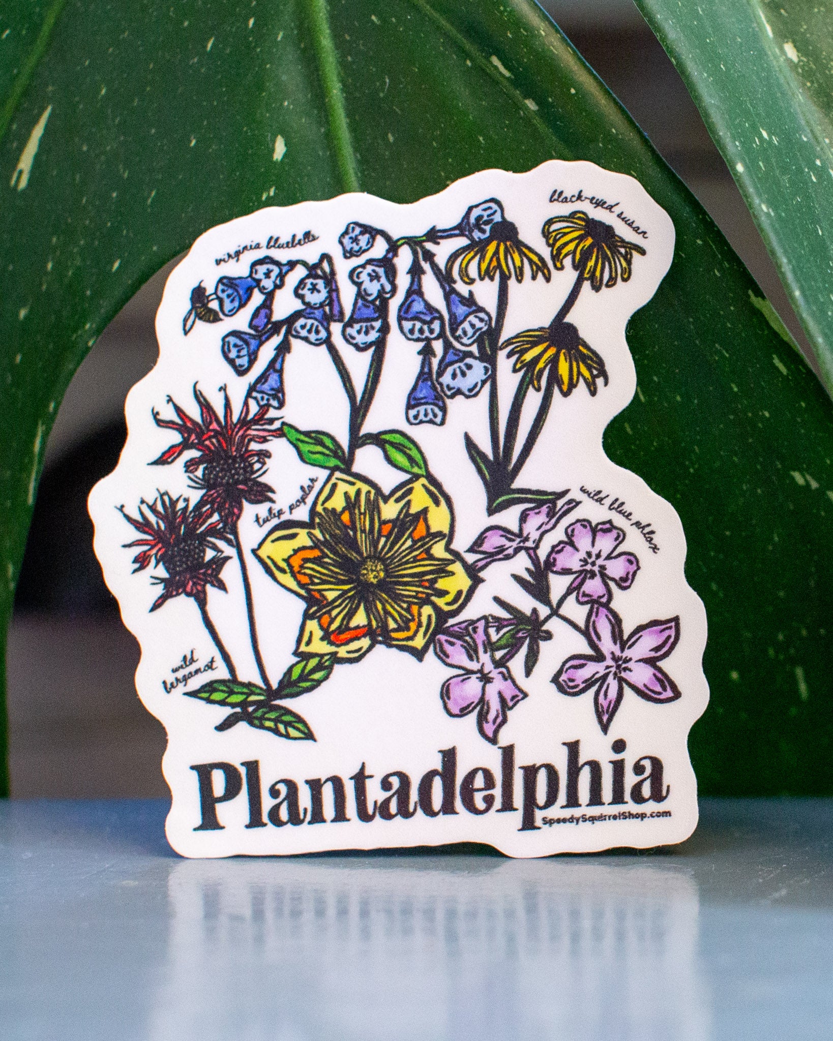 Sticker with colorful floral design and 'Plantadelphia' text on a reflective surface with green leaves in the background.