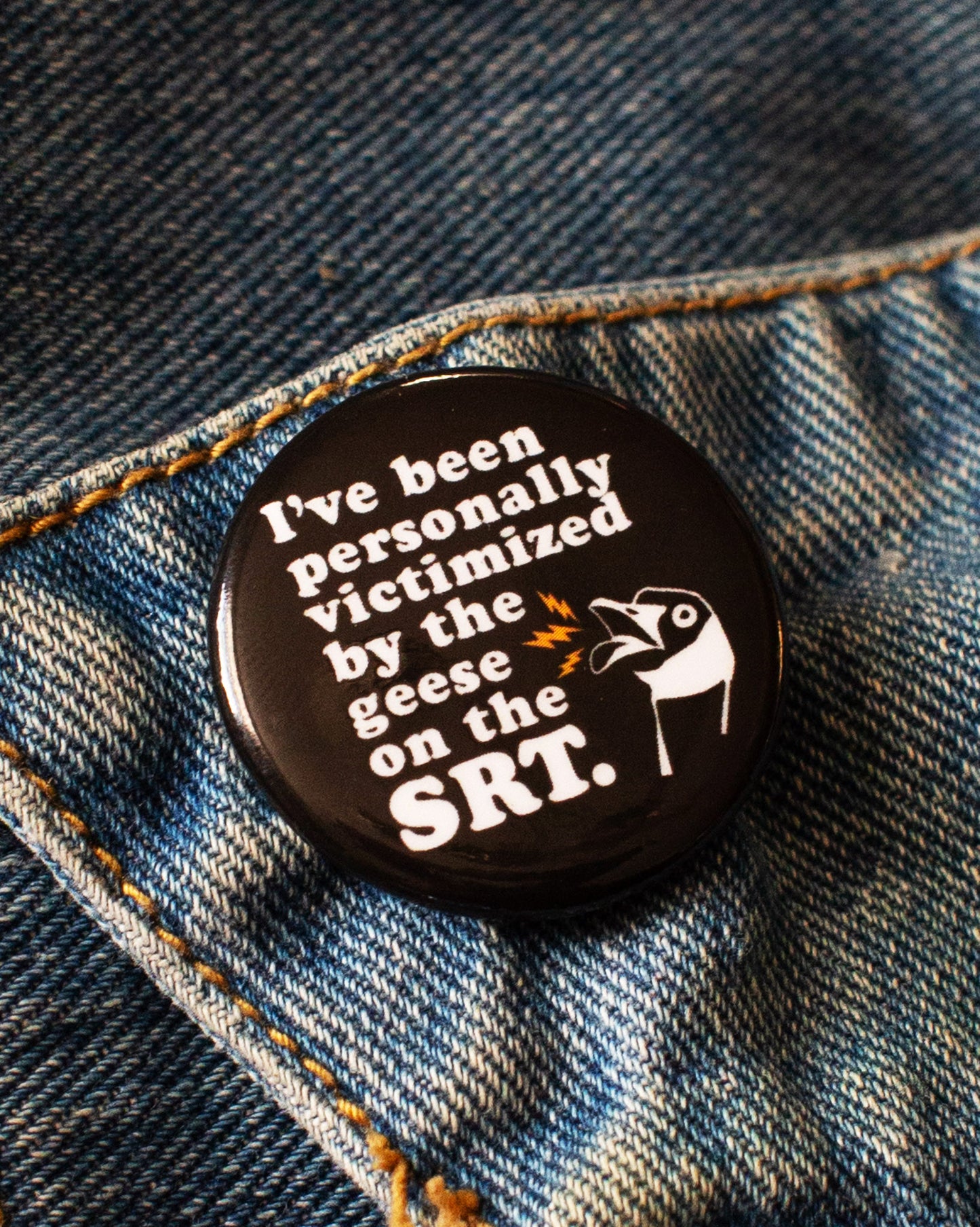 Schuylkill River Trail Goose Pin